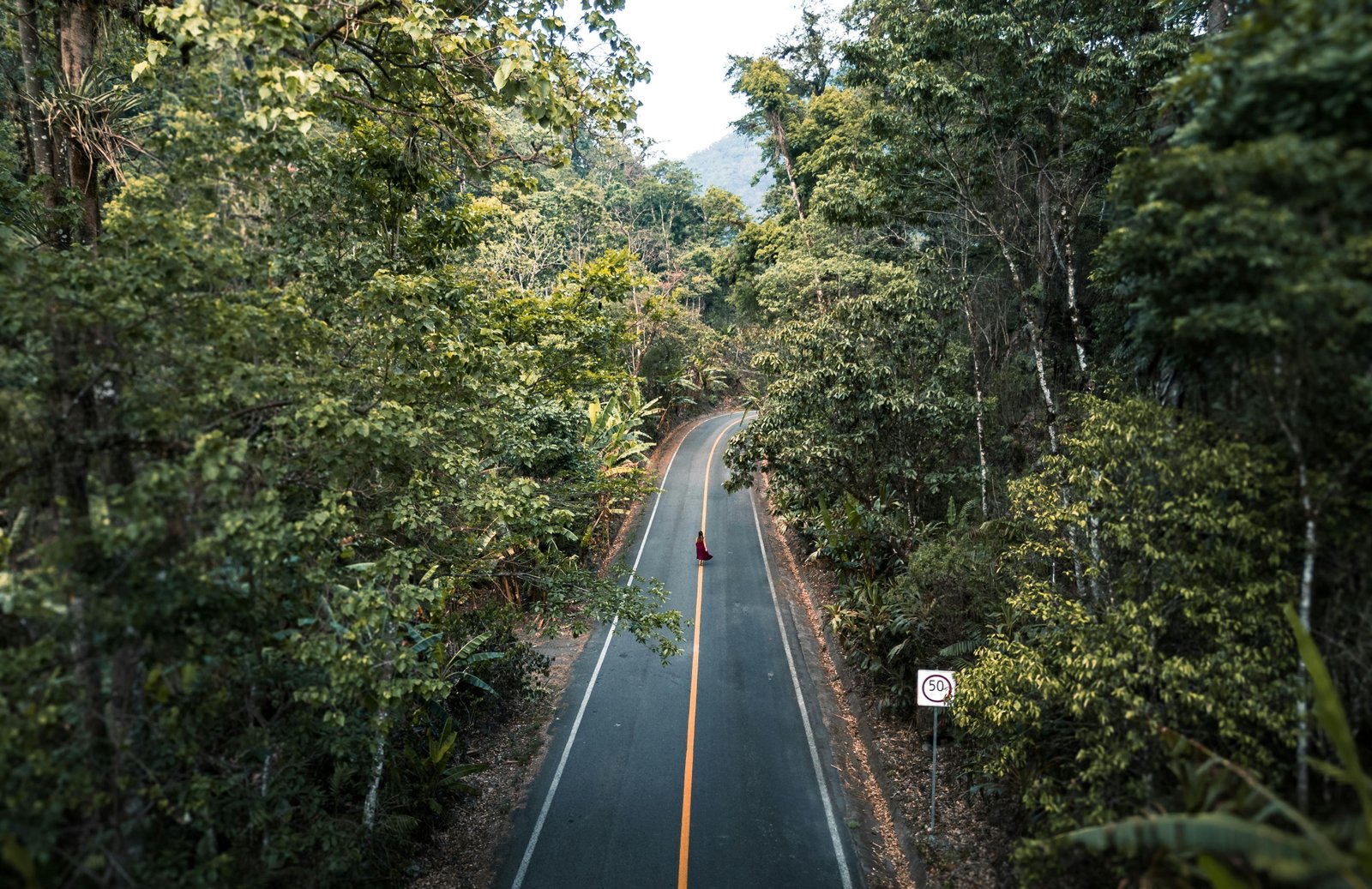Forests